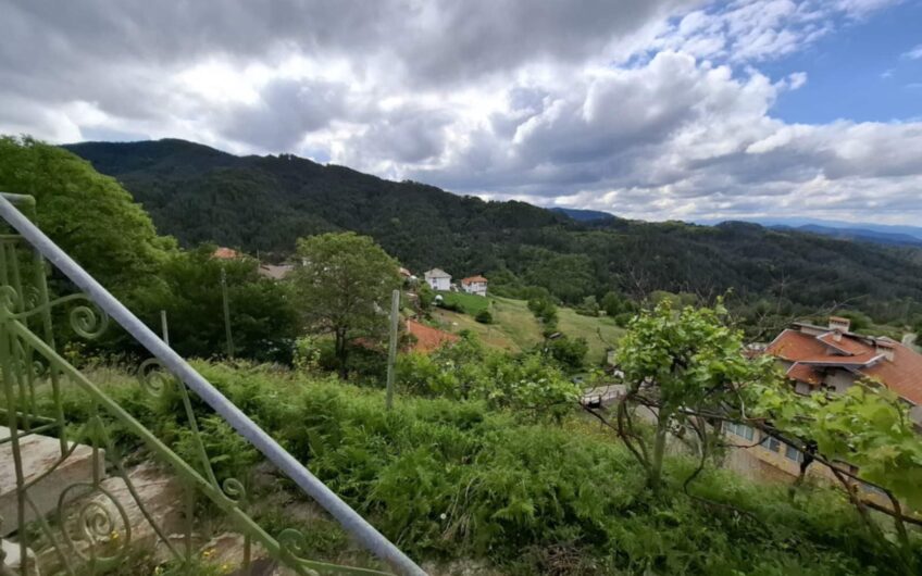 ДВУЕТАЖНА КЪЩА ЗА ПРОДАЖБА В С. БУРЕВО, ОБЛАСТ СМОЛЯН